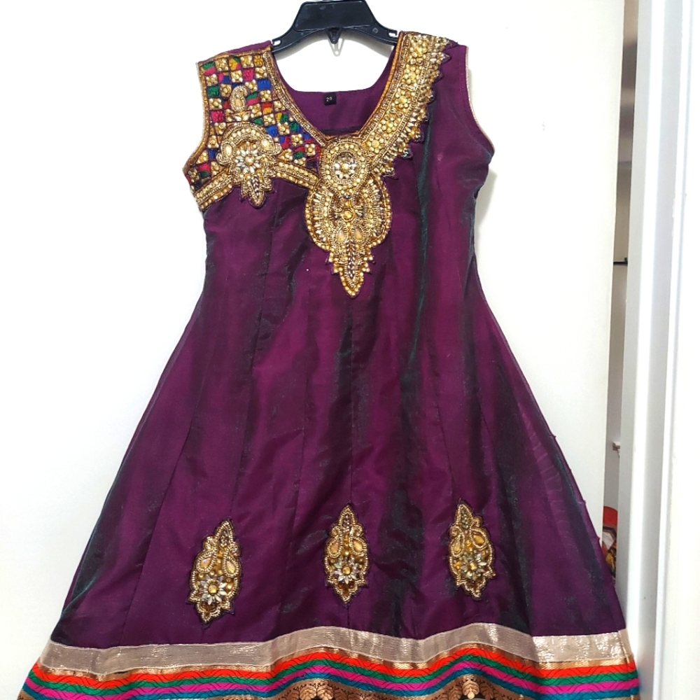 Traditional girls Indian dress